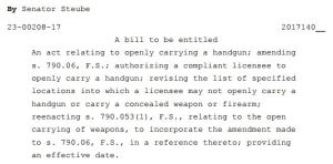 An excerpt from the proposed open carry bill in Florida.